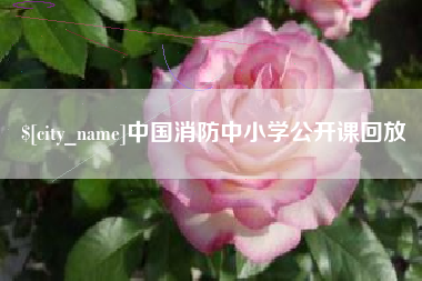 府谷中国消防中小学公开课回放
