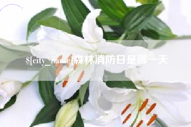 府谷森林消防日是哪一天