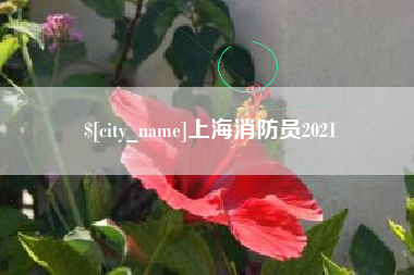 府谷上海消防员2021