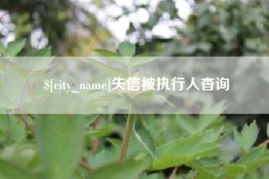 府谷失信被执行人杳询