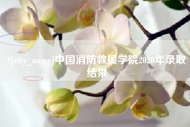 府谷中国消防救援学院2020年录取结果