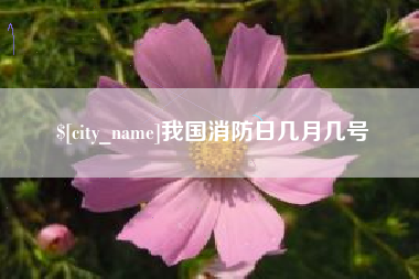 府谷我国消防日几月几号