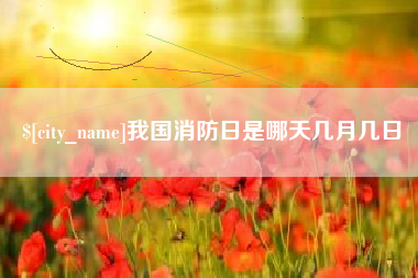 府谷我国消防日是哪天几月几日