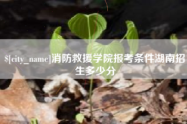 府谷消防救援学院报考条件湖南招生多少分
