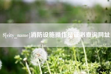 府谷消防设施操作员证书查询网址