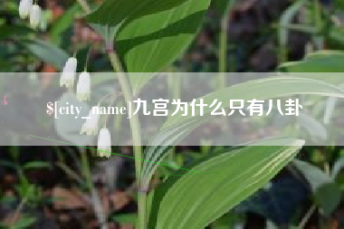 府谷九宫为什么只有八卦