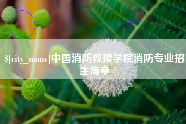 府谷中国消防救援学院消防专业招生简章