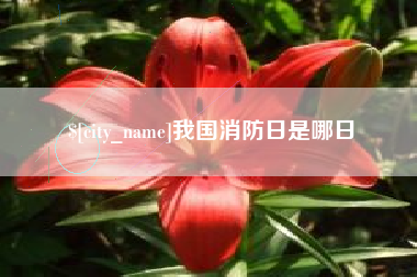 府谷我国消防日是哪日