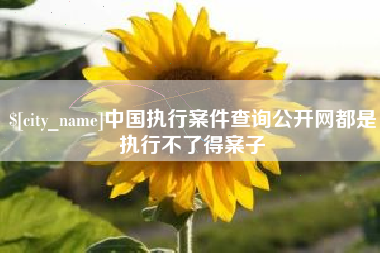 府谷中国执行案件查询公开网都是执行不了得案子