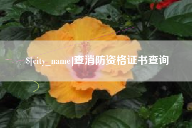 府谷查消防资格证书查询