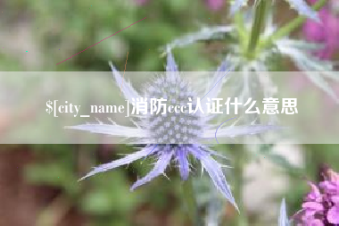 府谷消防ccc认证什么意思