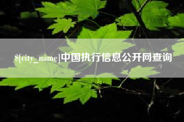 府谷中国执行信息公开网查询
