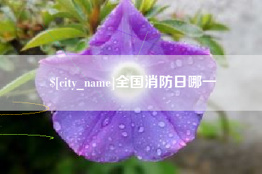 府谷全国消防日哪一