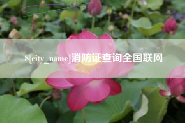 府谷消防证查询全国联网