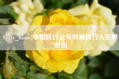 府谷中国执行公开网被执行人名单查询