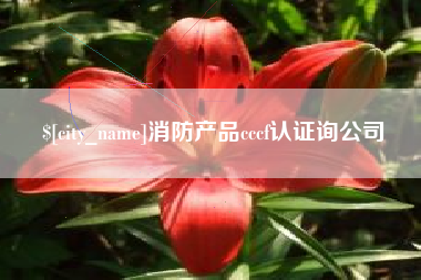 府谷消防产品cccf认证询公司