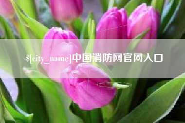 府谷中国消防网官网入口