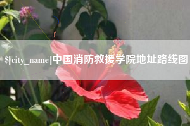 府谷中国消防救援学院地址路线图