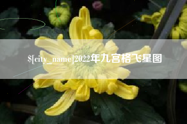 府谷2022年九宫格飞星图
