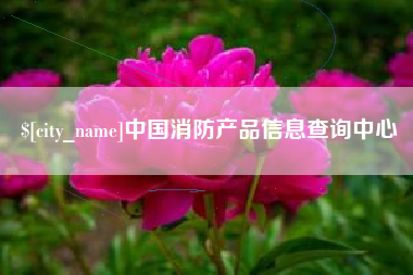 府谷中国消防产品信息查询中心