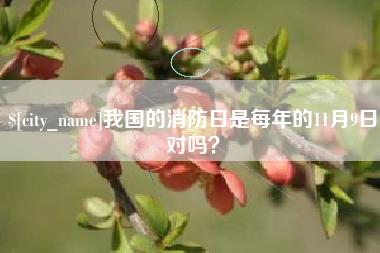 府谷我国的消防日是每年的11月9日对吗？