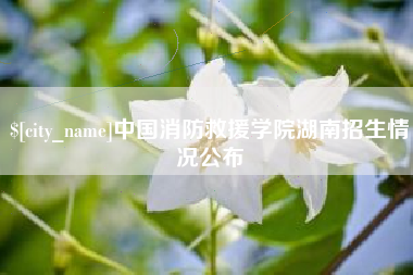 府谷中国消防救援学院湖南招生情况公布