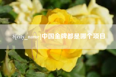 府谷中国金牌都是哪个项目