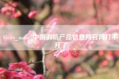 府谷中国消防产品信息网官网打不开了