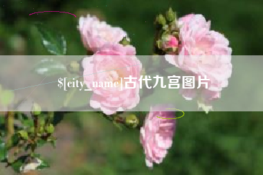 府谷古代九宫图片