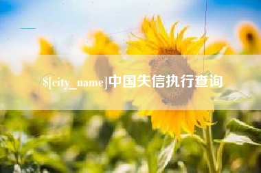 府谷中国失信执行查询