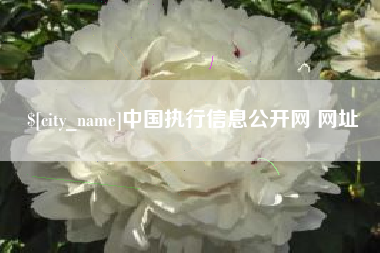 府谷中国执行信息公开网 网址