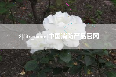 府谷中国消防产品官网