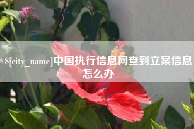 府谷中国执行信息网查到立案信息怎么办