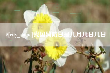 府谷我国消防日是几月几日几日