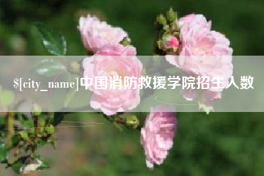 府谷中国消防救援学院招生人数