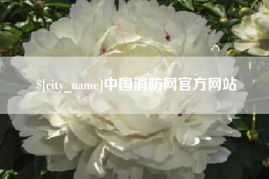 府谷中国消防网官方网站