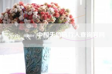 府谷中国失信执行人查询官网