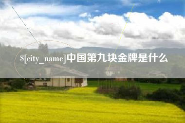 府谷中国第九块金牌是什么