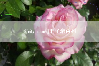 府谷王子豪百科