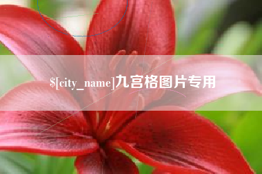 府谷九宫格图片专用