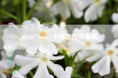 府谷中国地图像素版