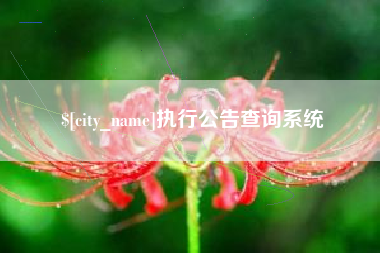 府谷执行公告查询系统