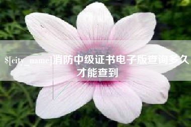 府谷消防中级证书电子版查询多久才能查到