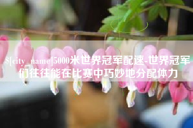 府谷5000米世界冠军配速-世界冠军们往往能在比赛中巧妙地分配体力