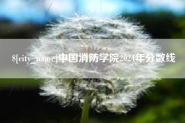 府谷中国消防学院2024年分数线