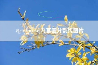 府谷九宫图分割线图片
