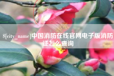 府谷中国消防在线官网电子版消防证怎么查询
