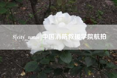 府谷中国消防救援学院航拍