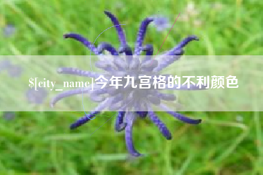 府谷今年九宫格的不利颜色