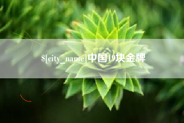 府谷中国19块金牌